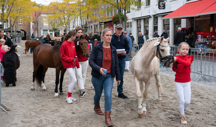 Paardenmarkt Vianen